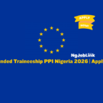 EU Funded Traineeship PPI Nigeria 2026 | Apply Now
