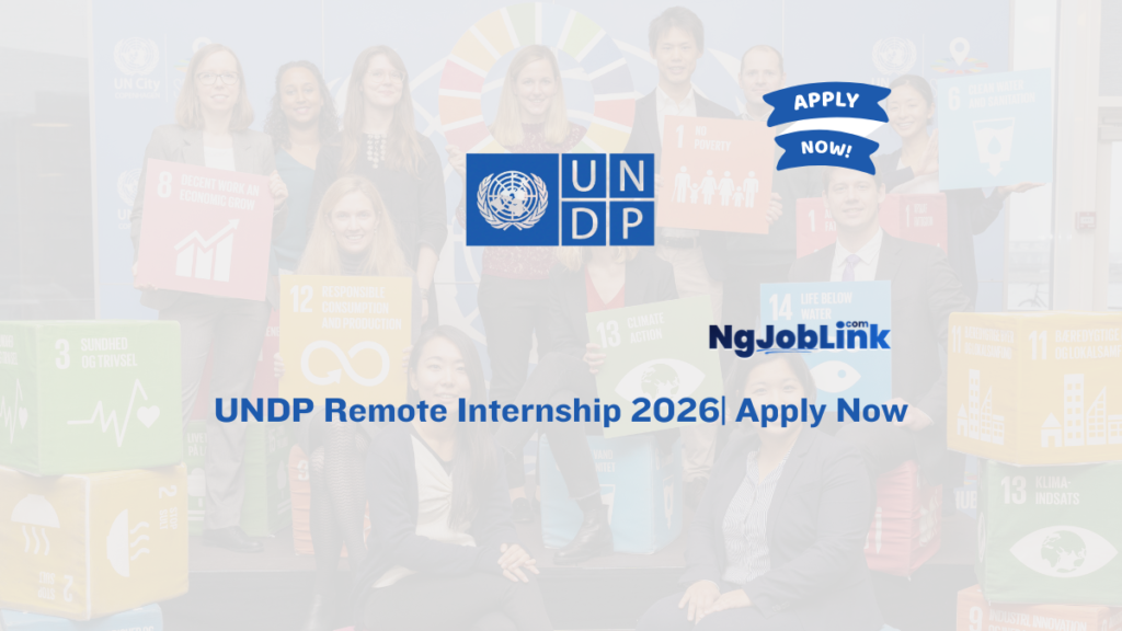 UNDP Remote Internship 2026| Apply Now 3 UNDP Remote Internship 2026| Apply Now