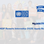 UNDP Remote Internship 2026| Apply Now