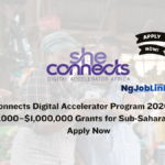 SheConnects Digital Accelerator Program 2026 Opens 500000–1000000 Grants for Sub‑Saharan Africa Apply Now